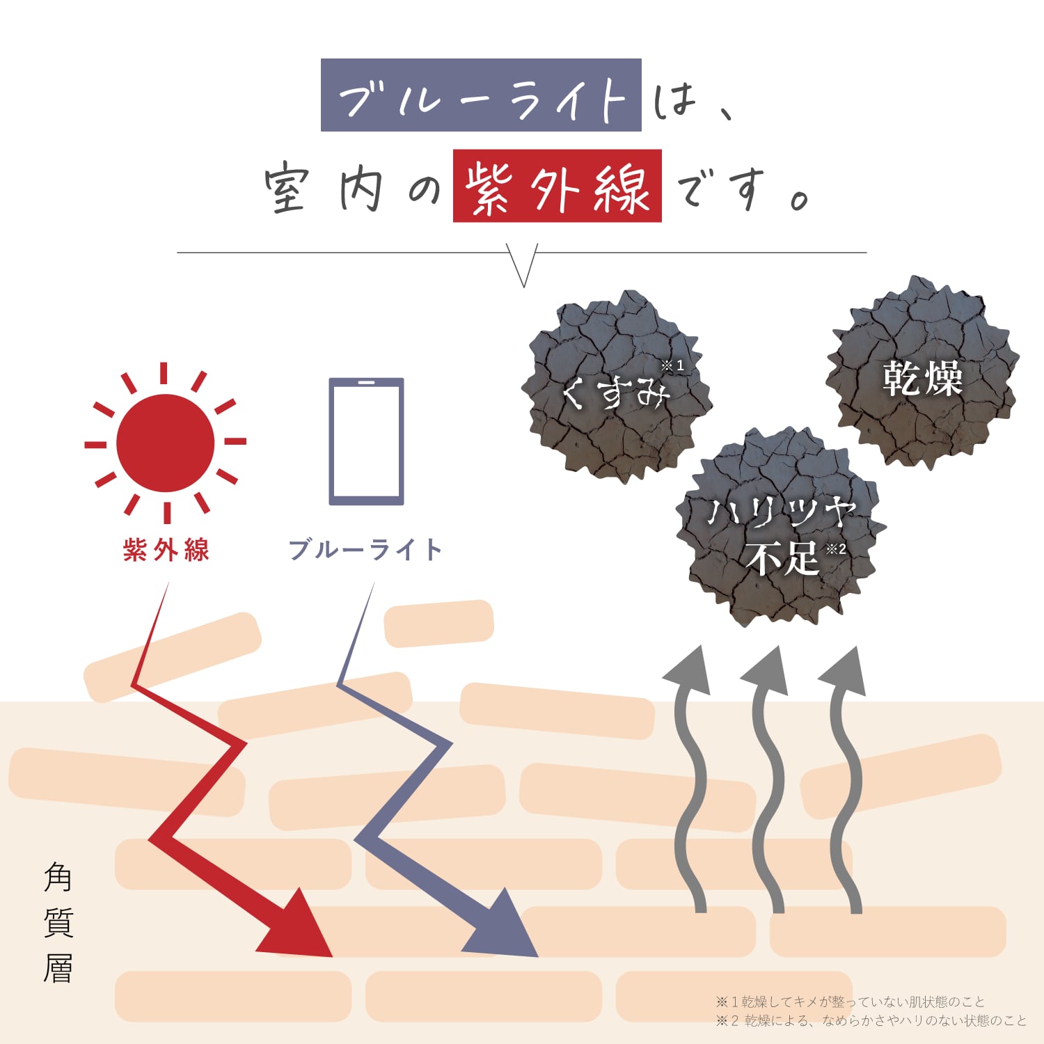 公式】日焼け止めジェル ｜ 向日葵 ｜ シロノサクラ。 – シロノサクラ 