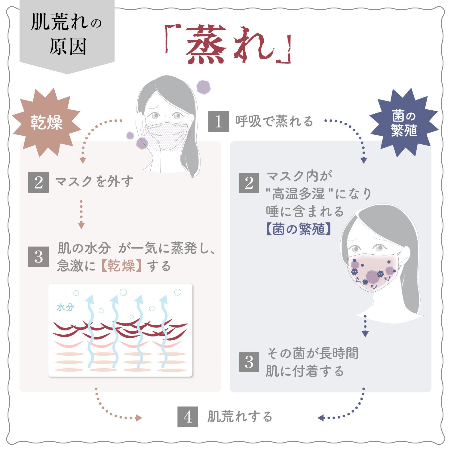 公式】マスクシート｜ 銀蘭 ｜ シロノサクラ。 – シロノサクラ